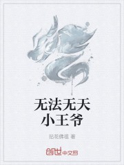 无法无天小王爷封面