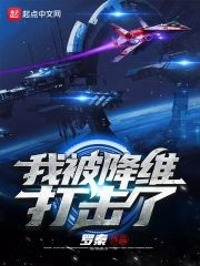 我被降维打击了封面