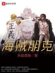 海贼朋克封面
