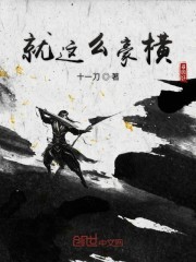 就这么豪横封面