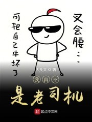 我真不是老司机封面