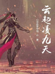 云起凌九天封面