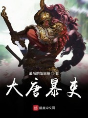 大唐暴吏封面