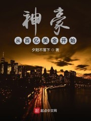 神豪从百亿美金开始封面