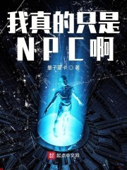 我真的只是NPC啊封面