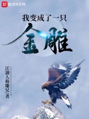 我变成了一只金雕封面