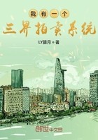 我有一个三界拍卖系统封面