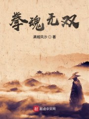 拳魂无双封面