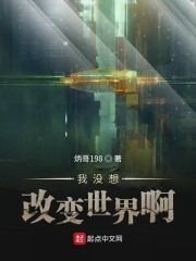我没想改变世界啊封面