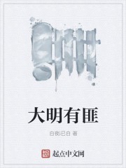 大明有匪封面