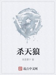 杀天狼封面