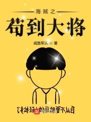 海贼之苟到大将封面