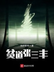 贫道张三丰封面