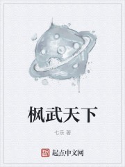 枫武天下封面