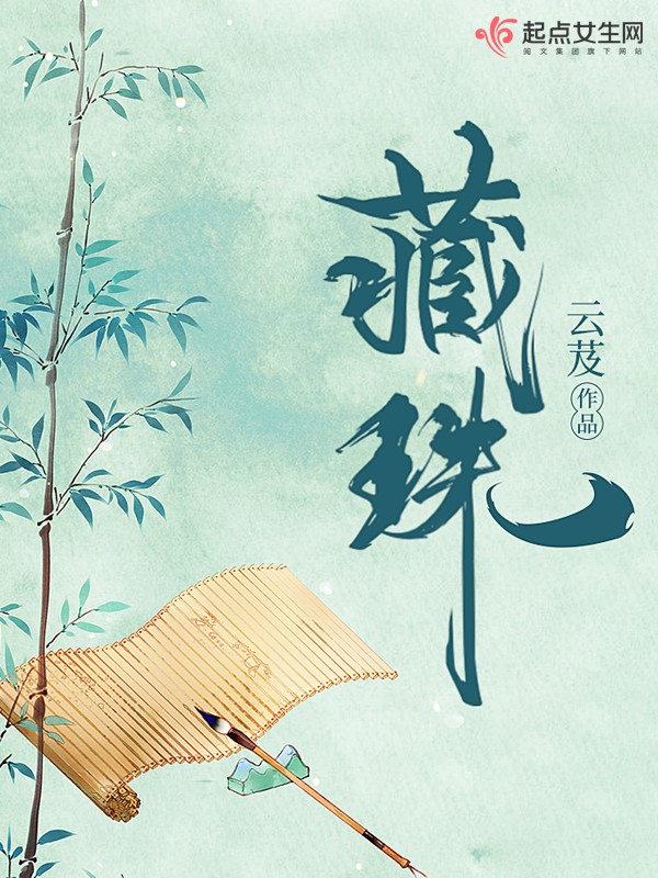 藏珠封面