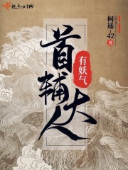 首辅大人有妖气封面