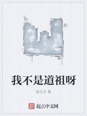 我不是道祖呀封面