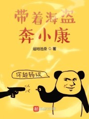 带着海盗奔小康封面