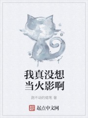 我真没想当火影啊封面