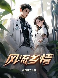 风流乡情封面