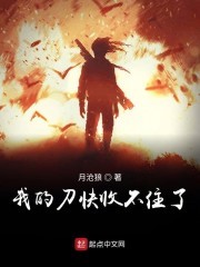 我的刀快收不住了封面