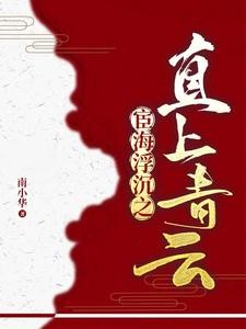 官场:书记的第一红人封面
