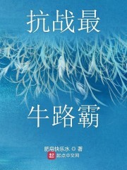 最牛收费站封面