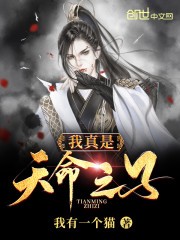 我真是天命之子封面