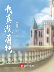 我真没有钱封面