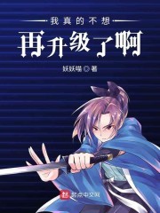 我真的不想再升级了啊封面