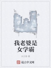 我老婆是女学霸封面