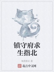 镇守府求生指北封面