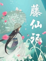 藤仙记封面