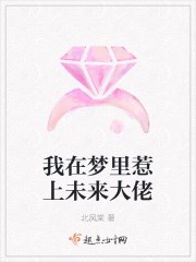 我在梦里惹上未来大佬封面