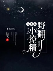 温爷的小撩精野翻了封面
