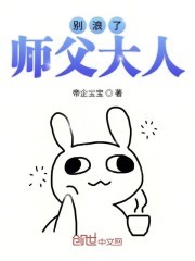 别浪了师父大人封面