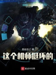 这个机师挺坏的封面