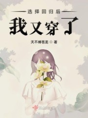 选择回归后我又穿了封面