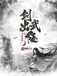 剑出武陵封面