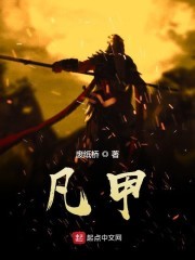 凡甲封面