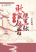 清穿之败家福晋狠嚣张封面
