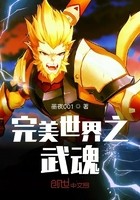 完美世界之武魂封面