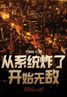 从系统炸了开始无敌封面