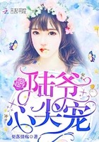 陆爷心尖宠封面
