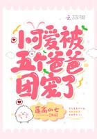 小可爱被五个爸爸团宠了封面