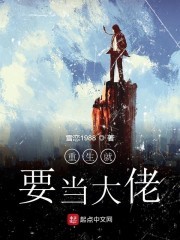 重生就要当大佬封面