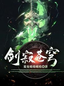 剑寂苍穹封面
