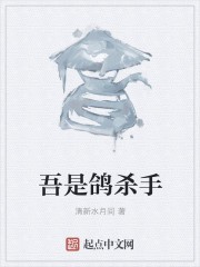 吾是鸽杀手封面