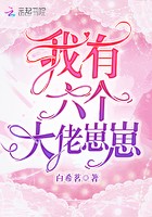 我有六个大佬崽崽封面