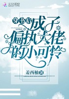 穿书后成了偏执大佬的小可怜封面